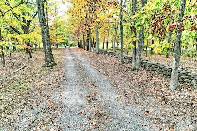 view of road