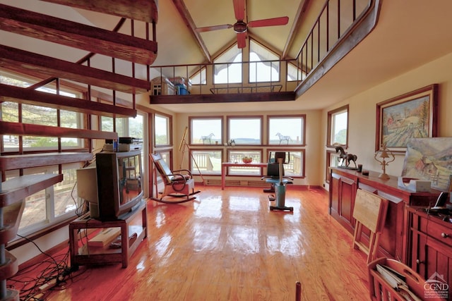 interior space featuring light hardwood / wood-style floors, high vaulted ceiling, and a healthy amount of sunlight