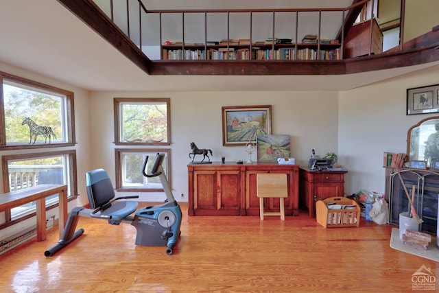 exercise area with a towering ceiling and light hardwood / wood-style floors