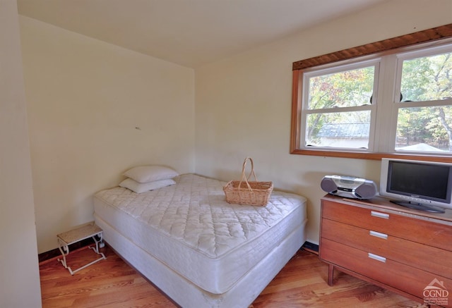 bedroom with light hardwood / wood-style flooring