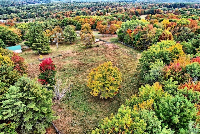 bird's eye view