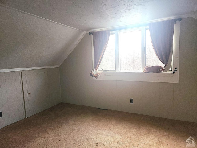 additional living space with lofted ceiling, a textured ceiling, and carpet