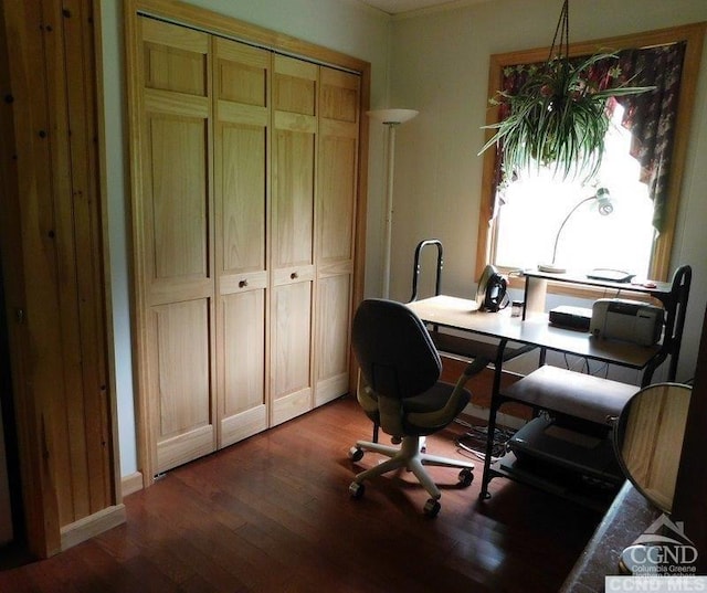 office featuring hardwood / wood-style flooring