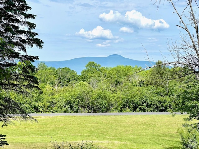 property view of mountains