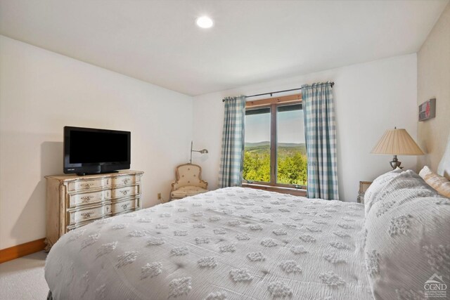 view of carpeted bedroom