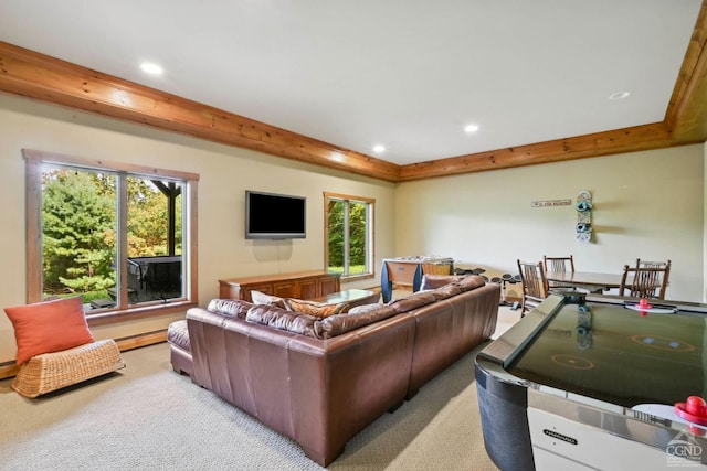 living room with a raised ceiling, plenty of natural light, light colored carpet, and a baseboard radiator