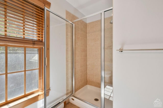 bathroom featuring tile patterned flooring, a healthy amount of sunlight, and a shower with shower door