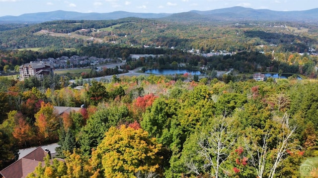 aerial view featuring a water and mountain view