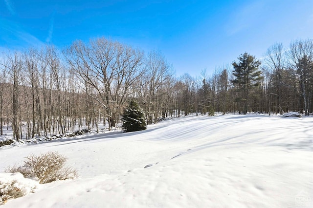 view of snowy yard