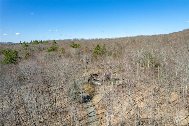 view of local wilderness