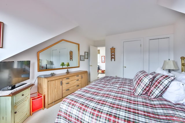 bedroom with light colored carpet and a closet