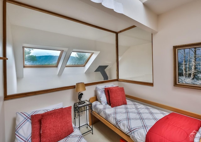 bedroom with a skylight