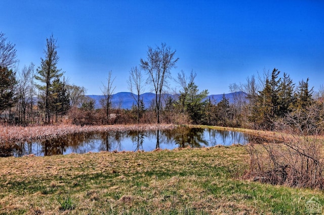 property view of water featuring a mountain view