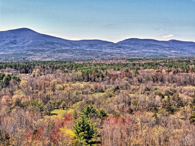 view of mountain feature