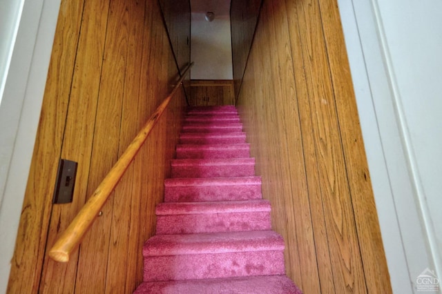 stairway with wood walls
