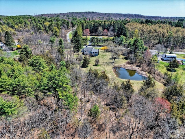 bird's eye view featuring a water view and a wooded view