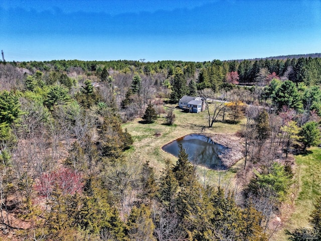 bird's eye view featuring a forest view and a water view
