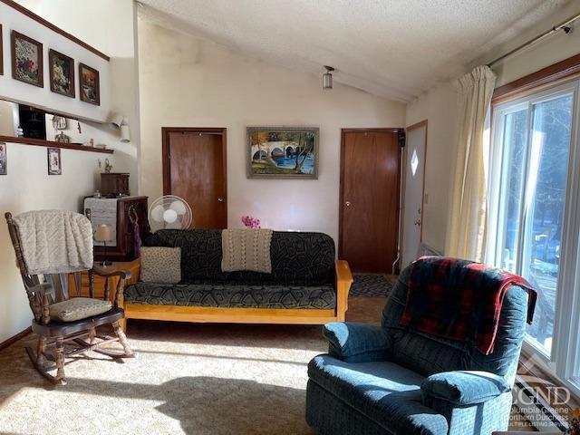 living room featuring lofted ceiling and plenty of natural light