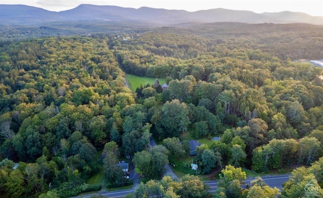 bird's eye view with a mountain view