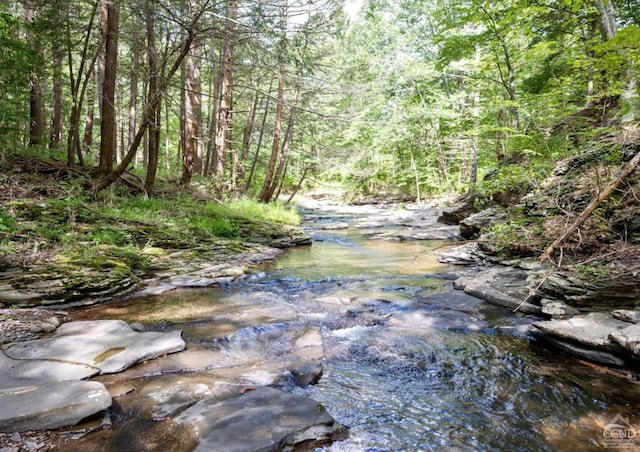 view of local wilderness