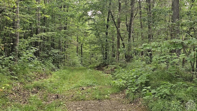 0 Ronadale Ln, Taghkanic, NY 12521