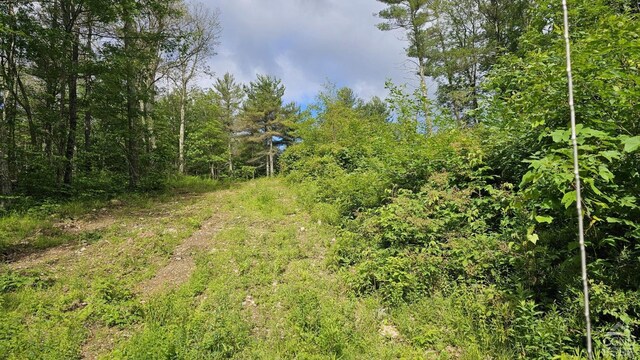0 Ronadale Ln, Taghkanic, NY 12521