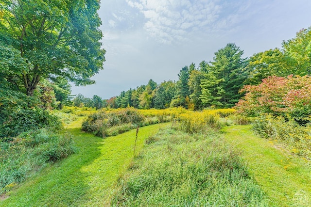 view of landscape