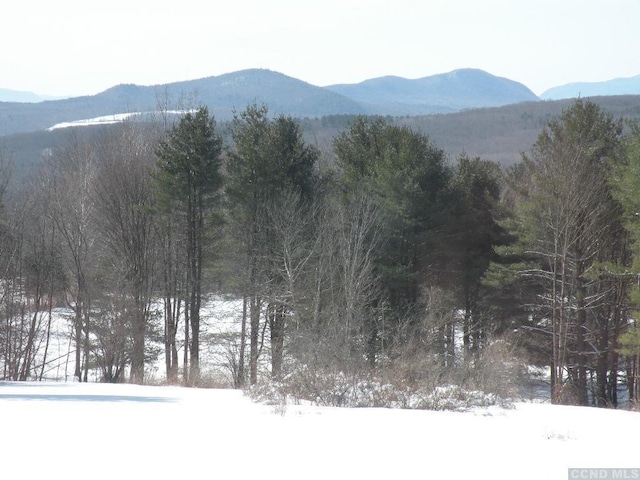 view of mountain feature