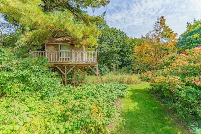 view of yard featuring a deck