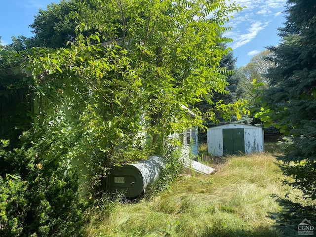 view of yard featuring a storage shed