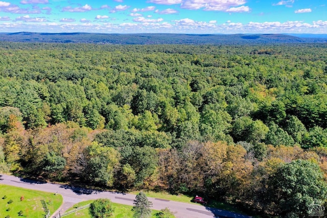 204 Joel M Austin Rd, Cairo NY, 12413 land for sale