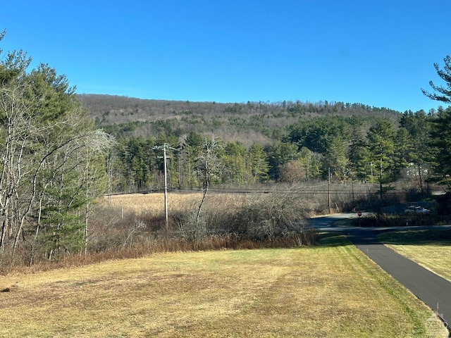 view of yard with a wooded view