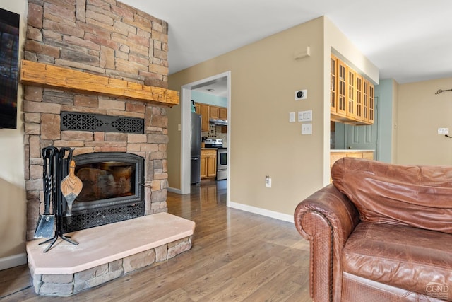 living room with wood-type flooring and a fireplace