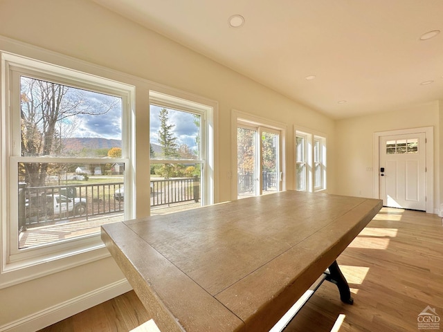 interior space with hardwood / wood-style flooring