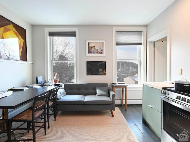 interior space featuring dark wood-type flooring, a wealth of natural light, and a baseboard radiator
