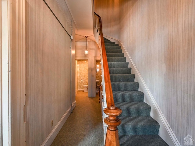 stairs featuring carpet