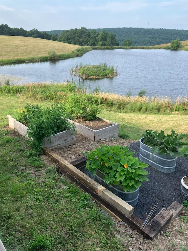 view of yard featuring a garden and a water view