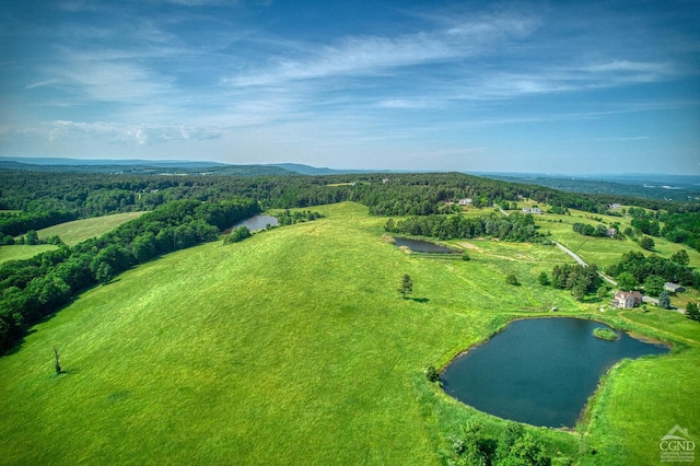 birds eye view of property featuring a wooded view and a water view