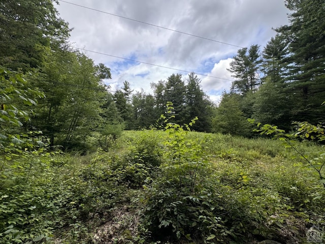 200 Fire Hill Rd, Austerlitz NY, 12017 land for sale