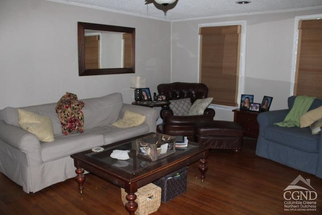 living room featuring dark hardwood / wood-style floors, ornamental molding, and a textured ceiling