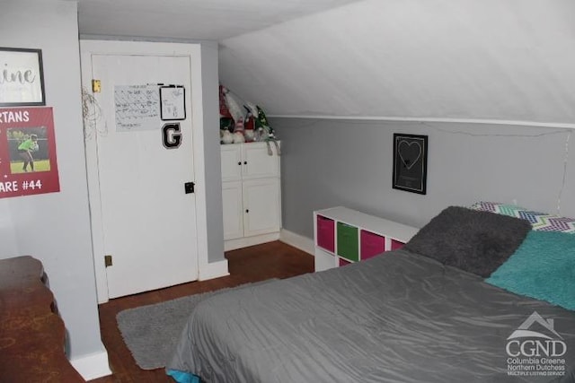 bedroom featuring vaulted ceiling