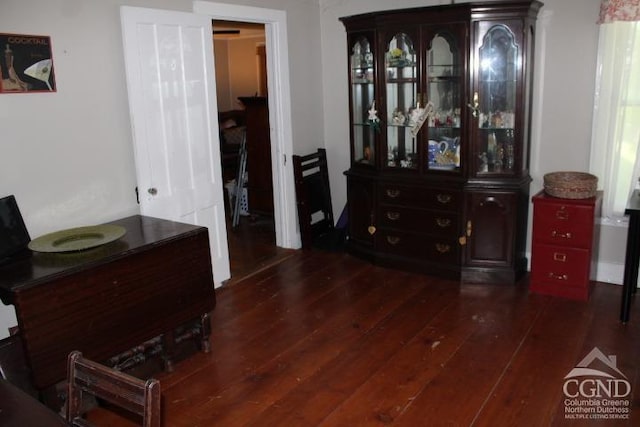 interior space featuring dark wood-type flooring