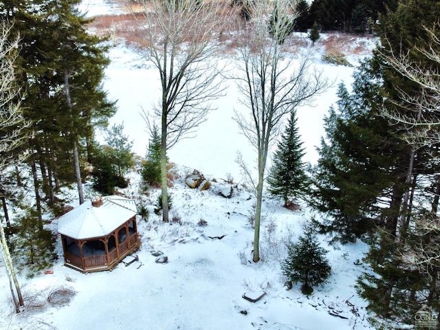 view of yard covered in snow