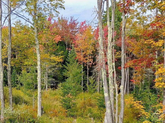 view of landscape