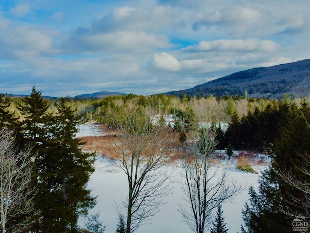 property view of water featuring a mountain view