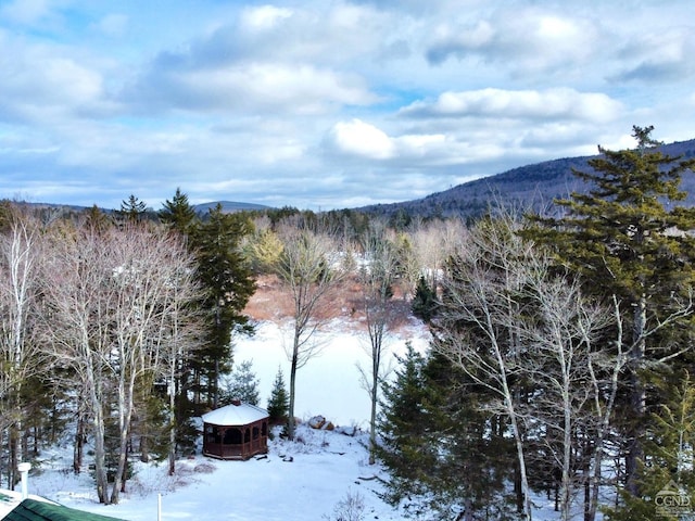 property view of mountains