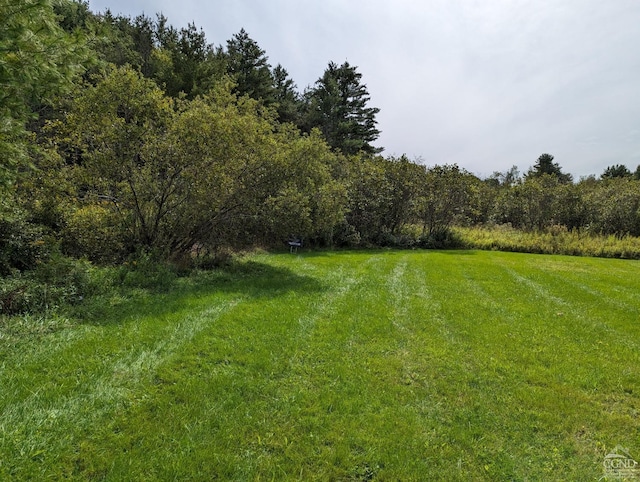 0 Pony Rd, Ashland NY, 12407 land for sale