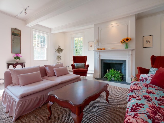 living room with beam ceiling, a fireplace, and track lighting