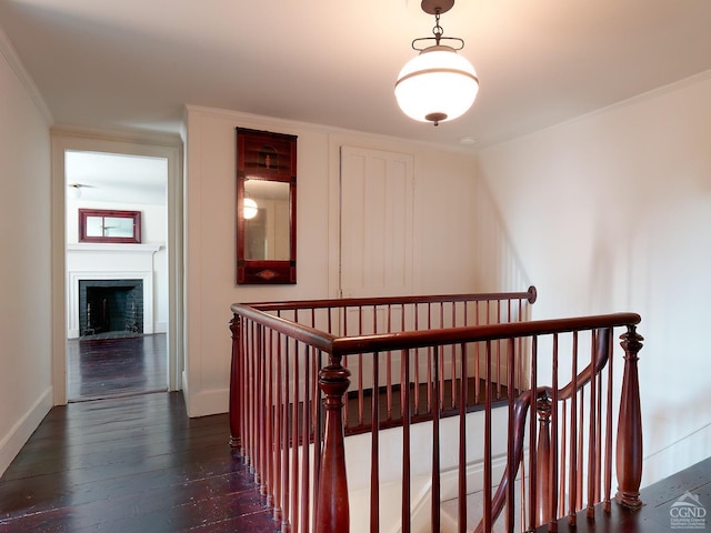 corridor featuring dark hardwood / wood-style floors and ornamental molding