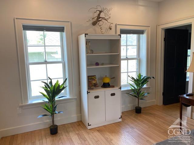 entryway featuring light hardwood / wood-style floors and a wealth of natural light